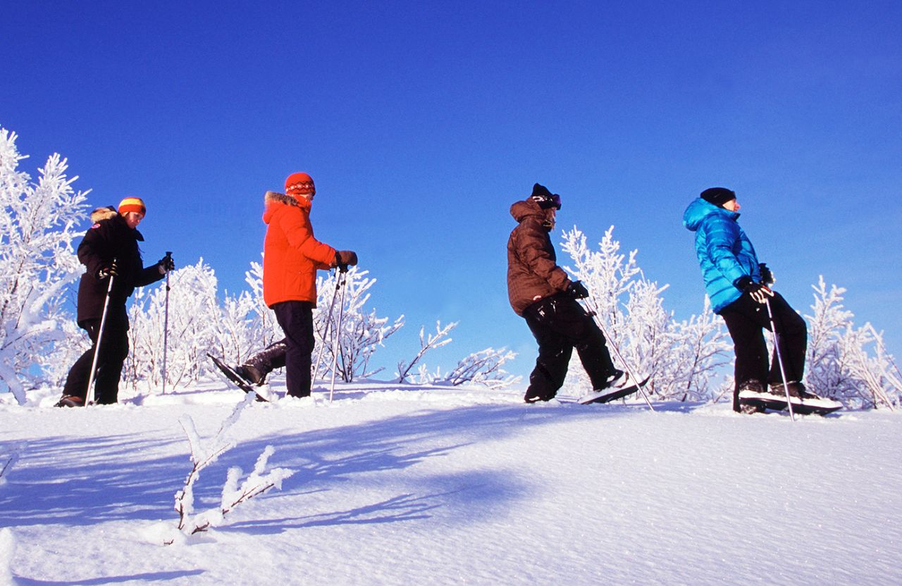 Snowshoeing Tours in Tromso, Norway