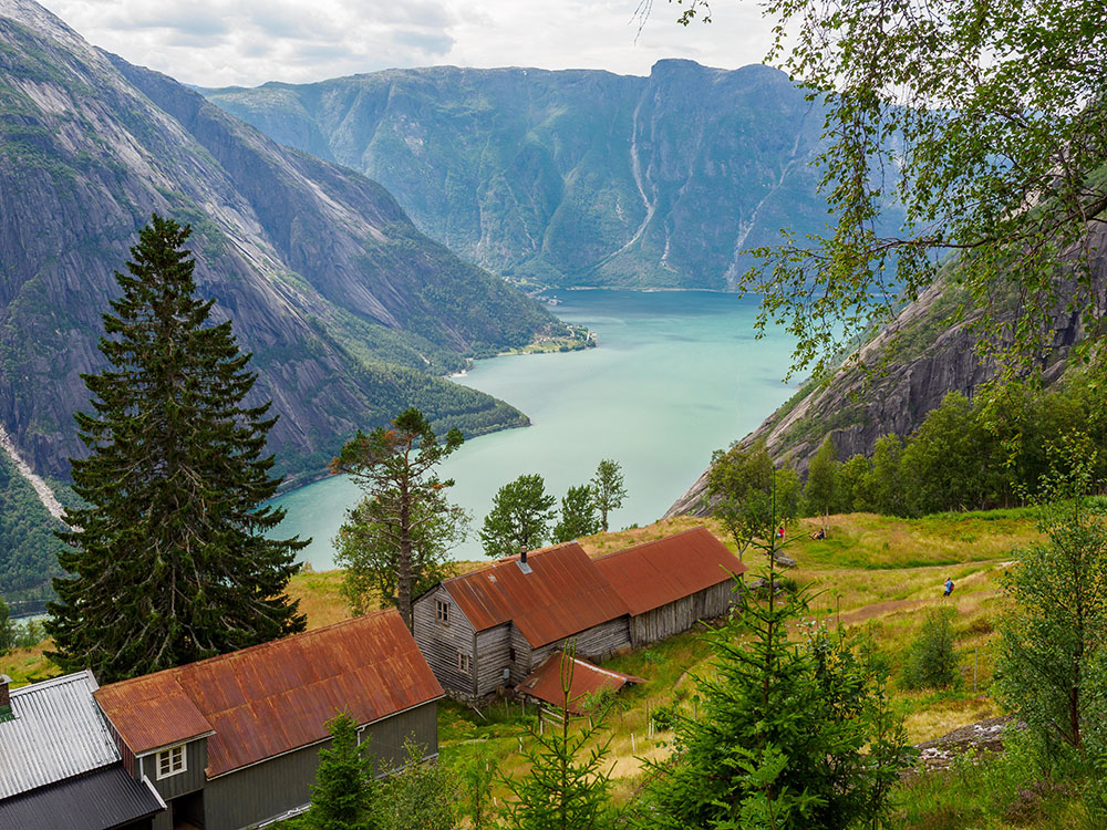 Traditional Farms in Norway: Food Tour