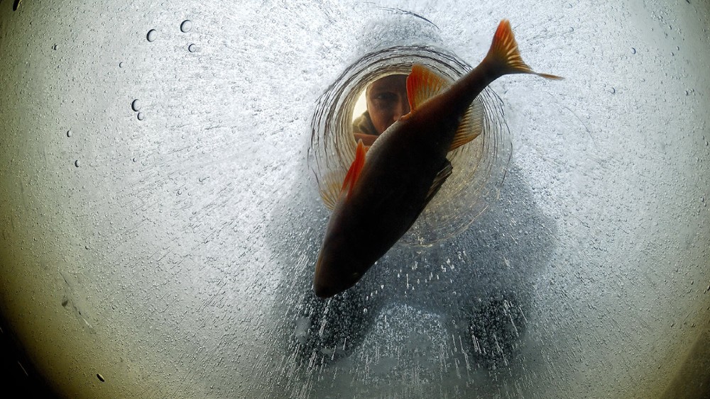 Guided fishing trip in Norway
