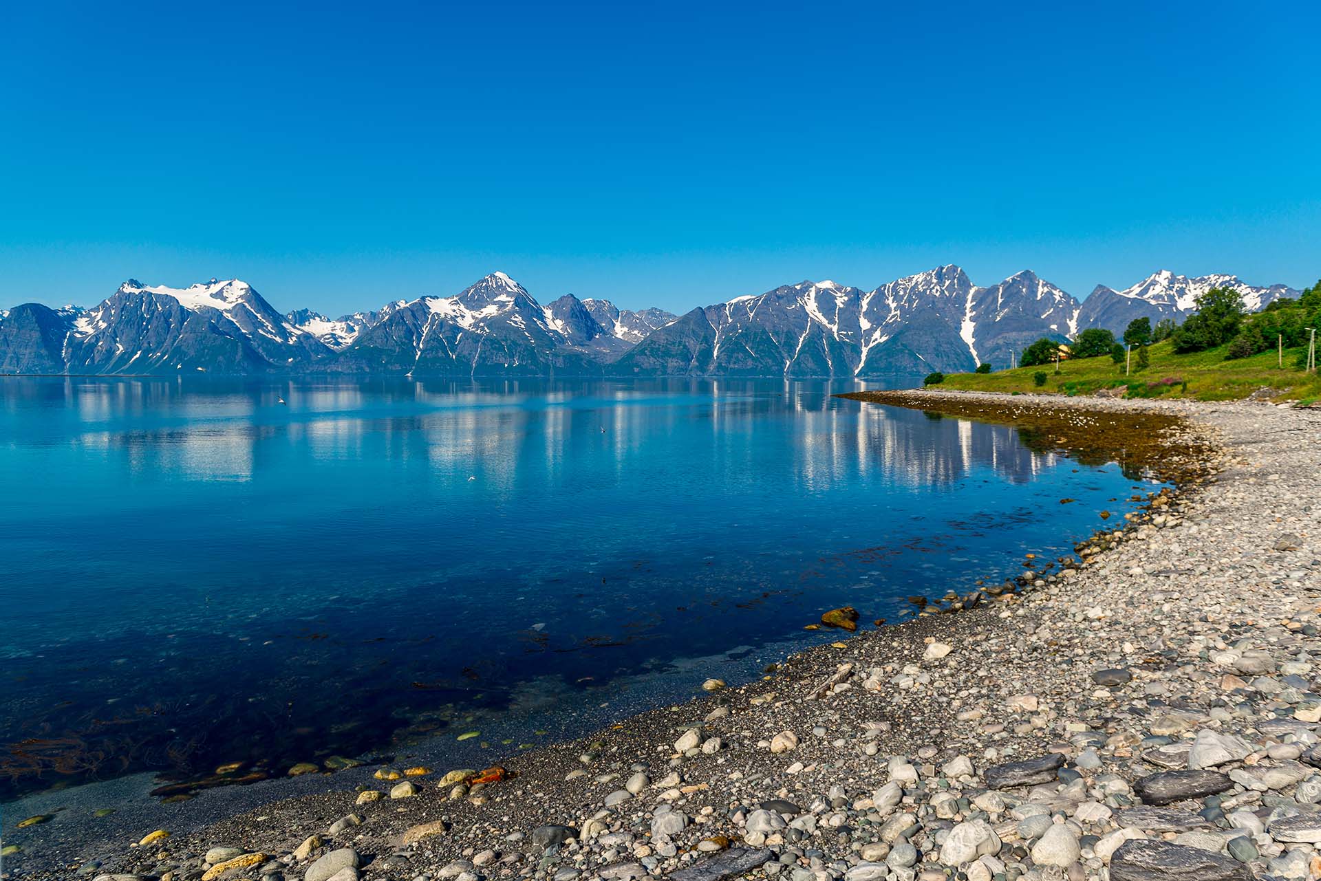 what to do in bergen: travel to the fjords