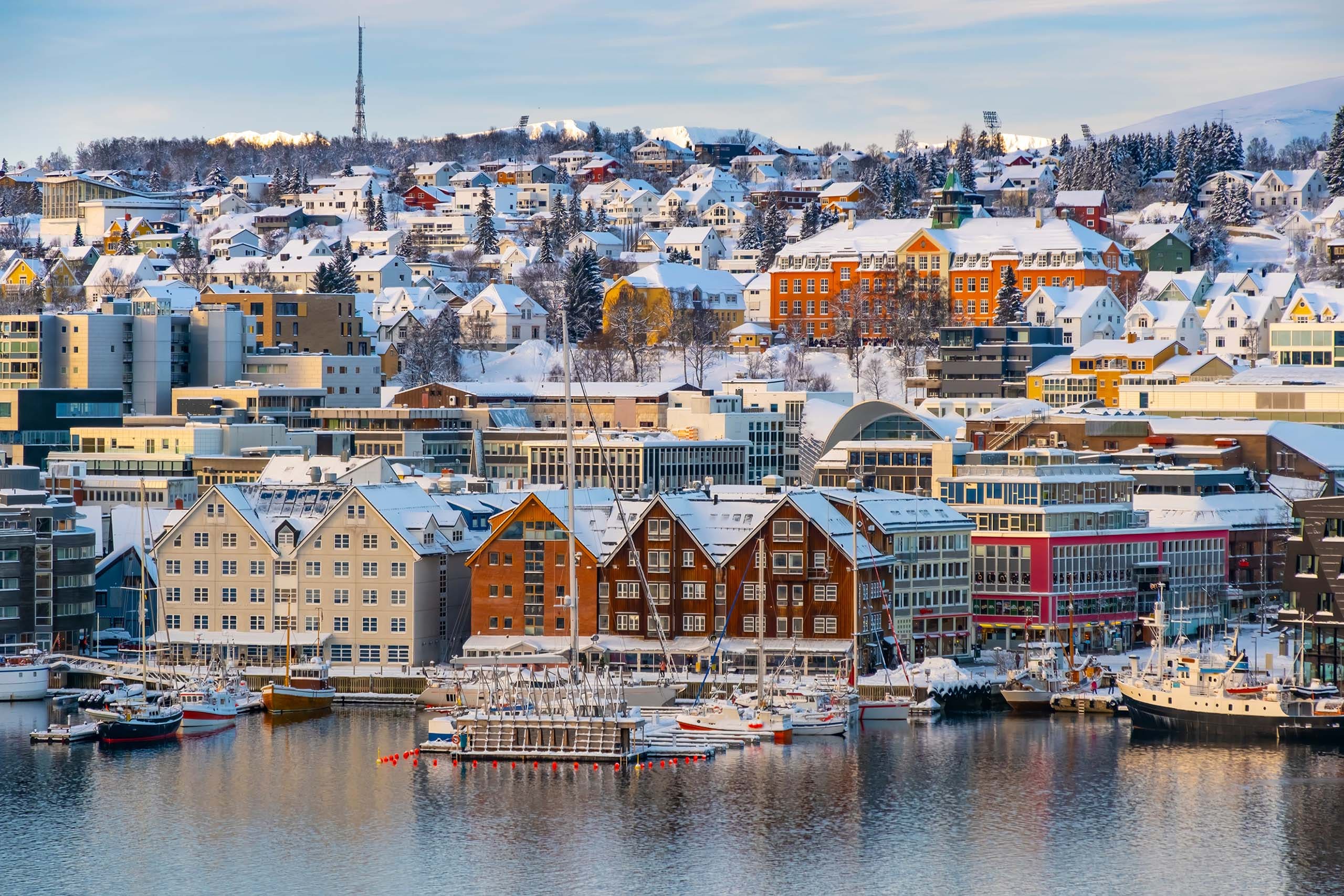 Arctic Dreams and Oslo