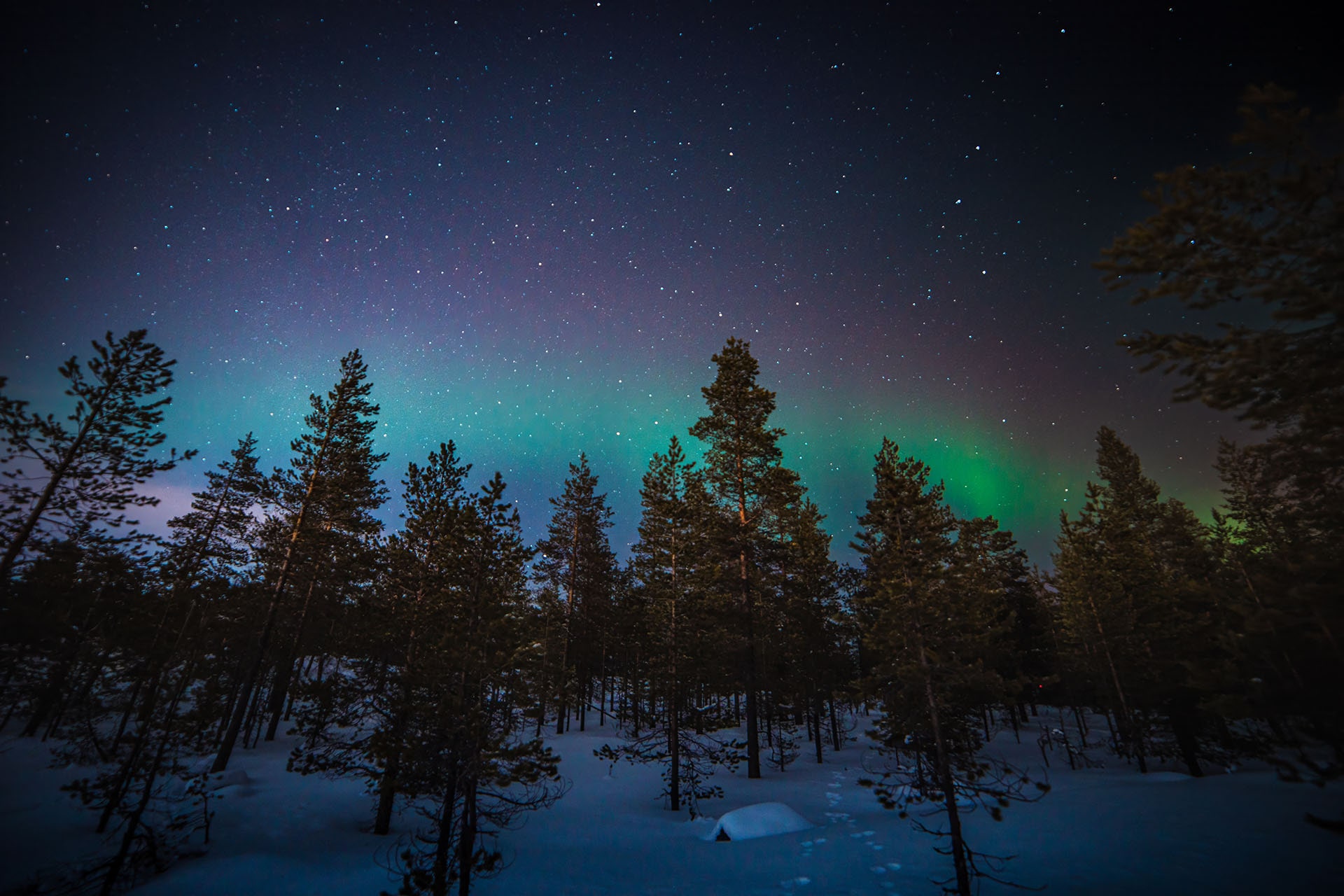 things to do in rovaniemi