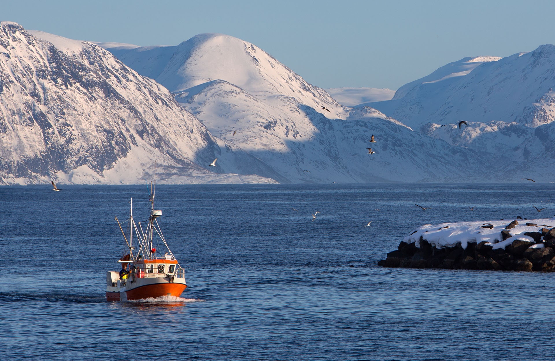 fjord cruises in northern norway