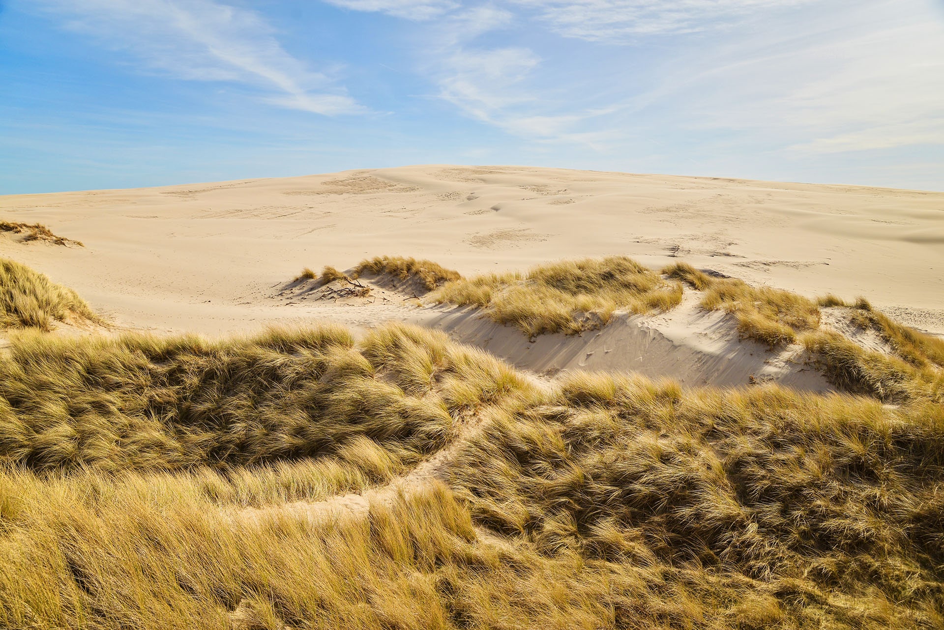 what to see and do in denmark: travel to the Rabjerg Mile desert
