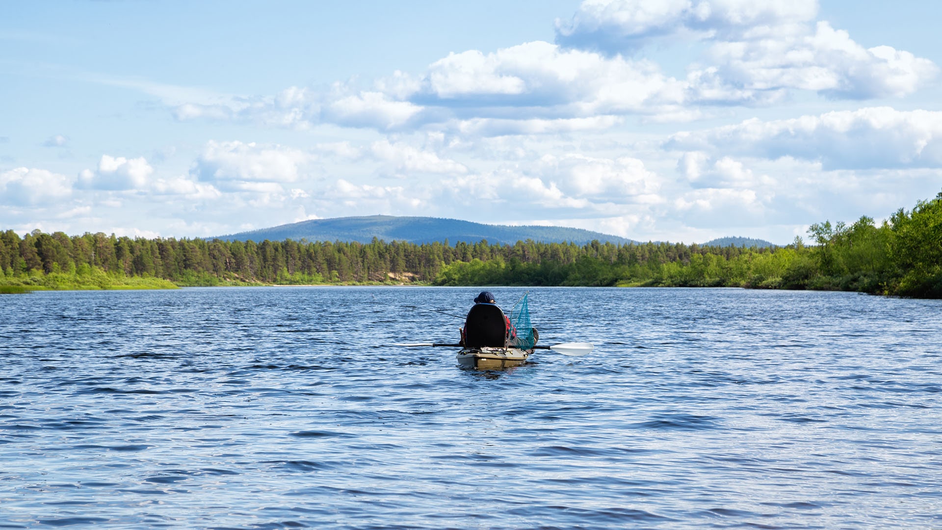 things to do and see in lapland in summer