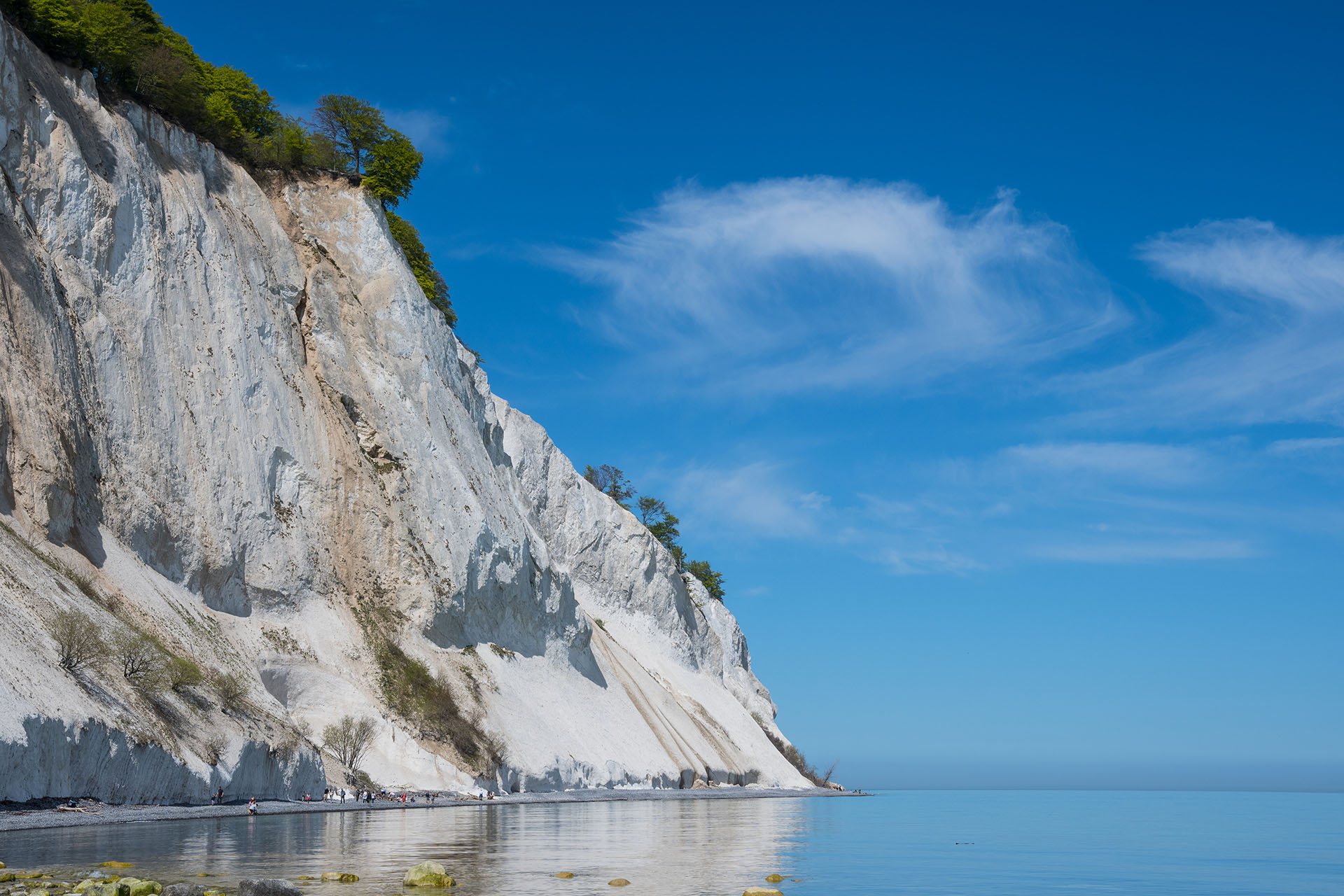 things to do in denmark summer: Mons Klint cliffs