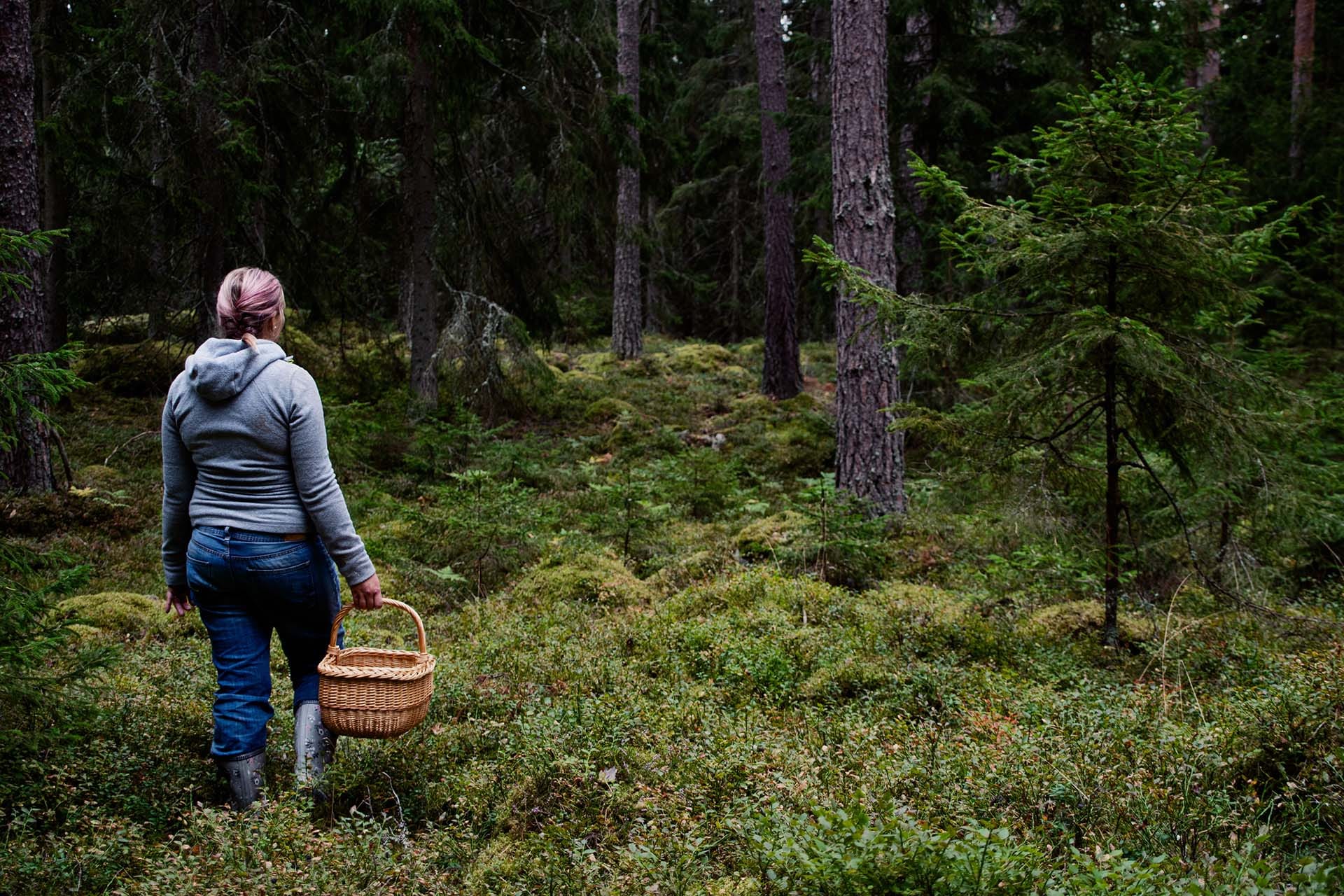 best time to visit sweden