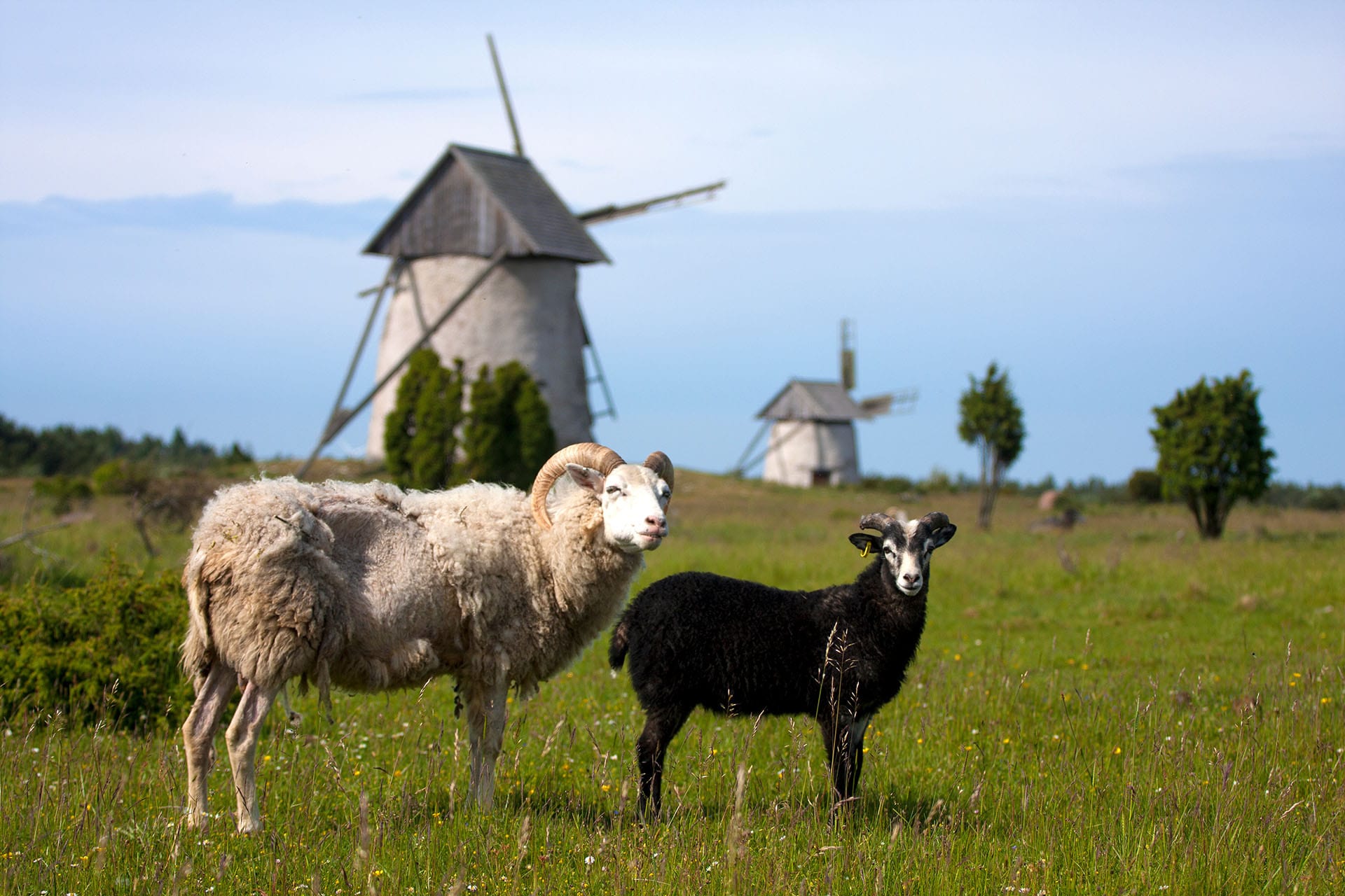 things to do in sweden