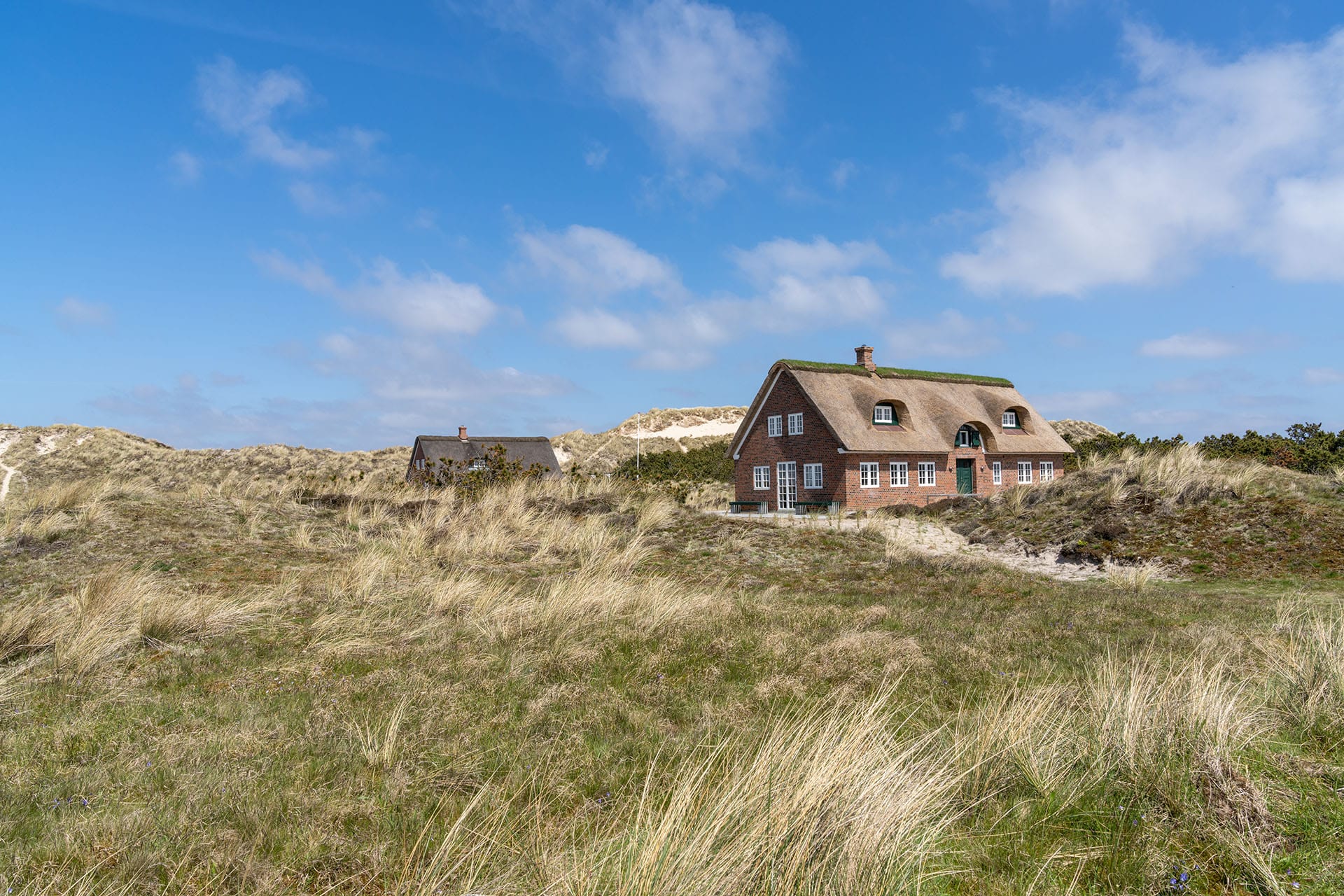 best things to do in denmark: travel to Wadden Sea