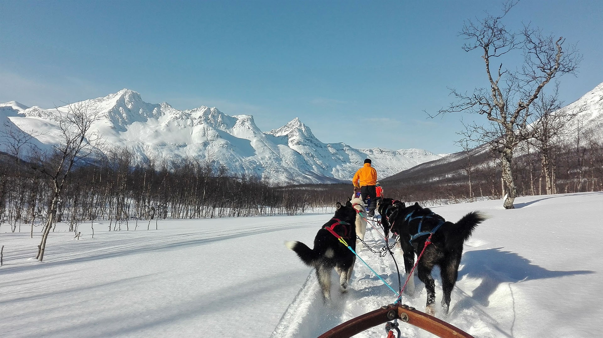 best things to do in northern norway