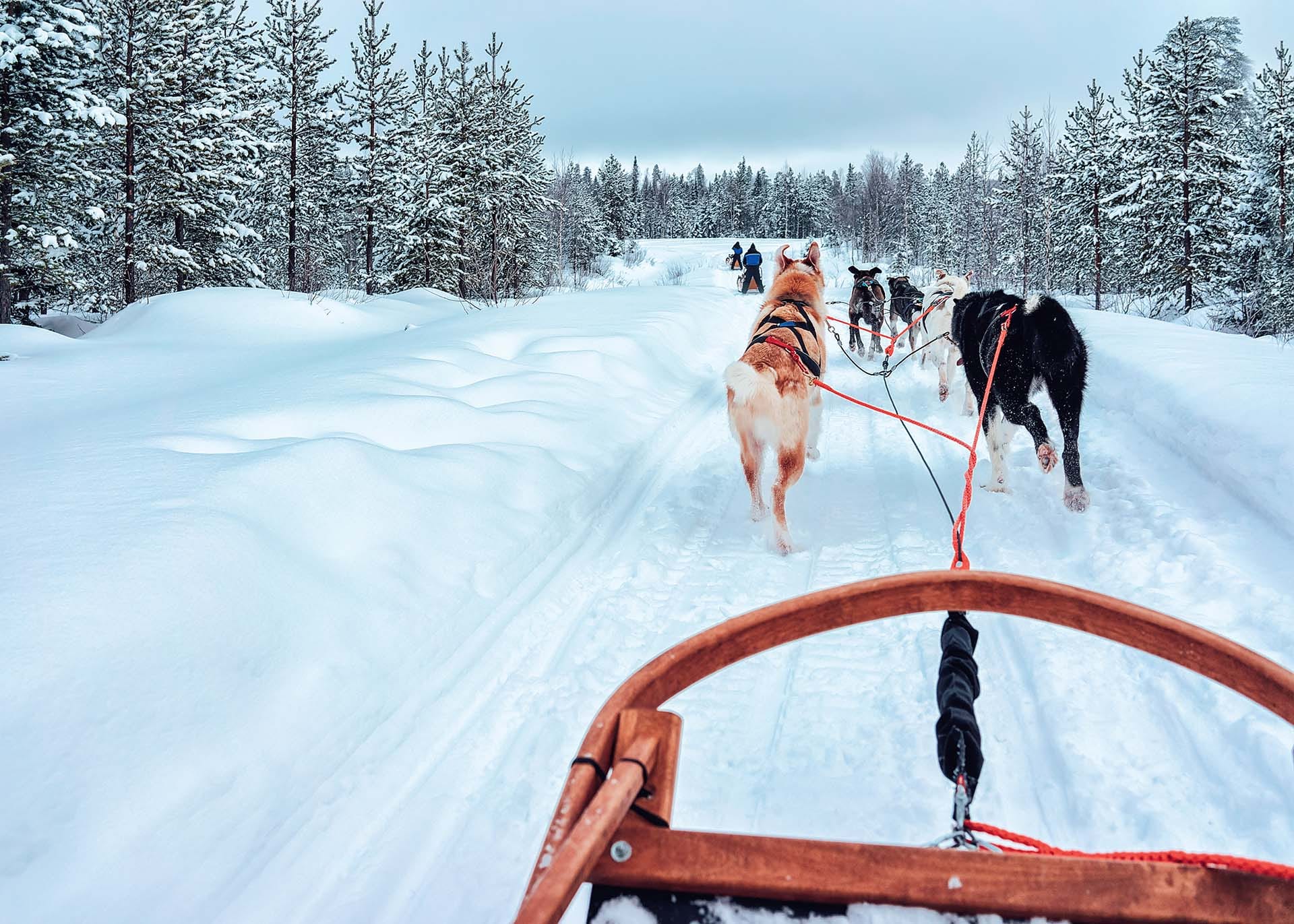 things to do in lapland rovaniemi