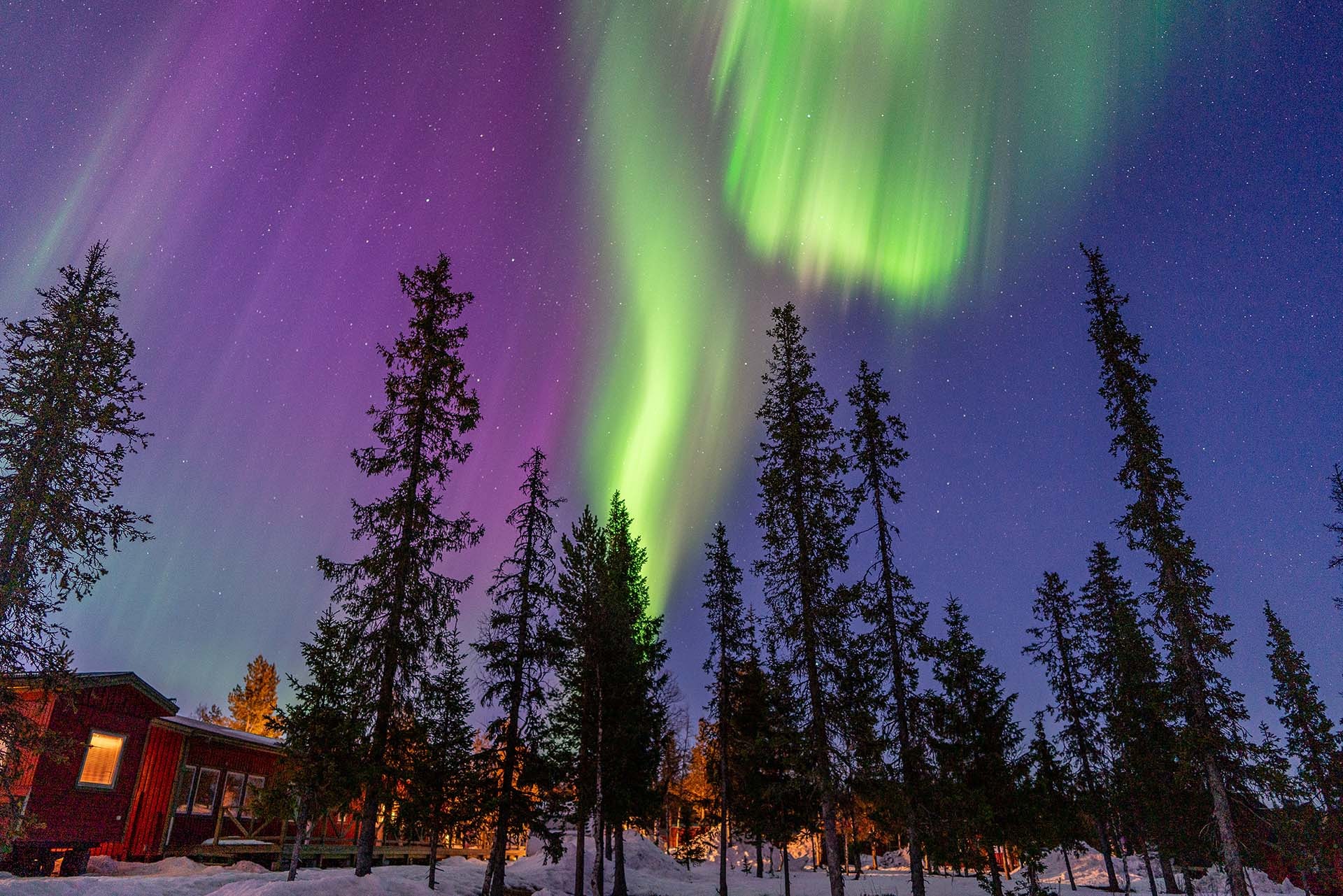 things to do in sweden winter