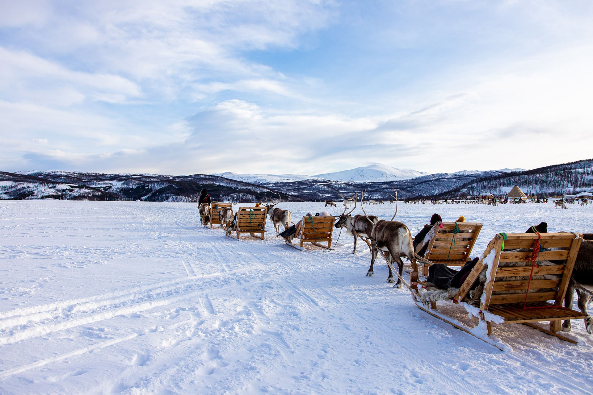 northern norway things to do