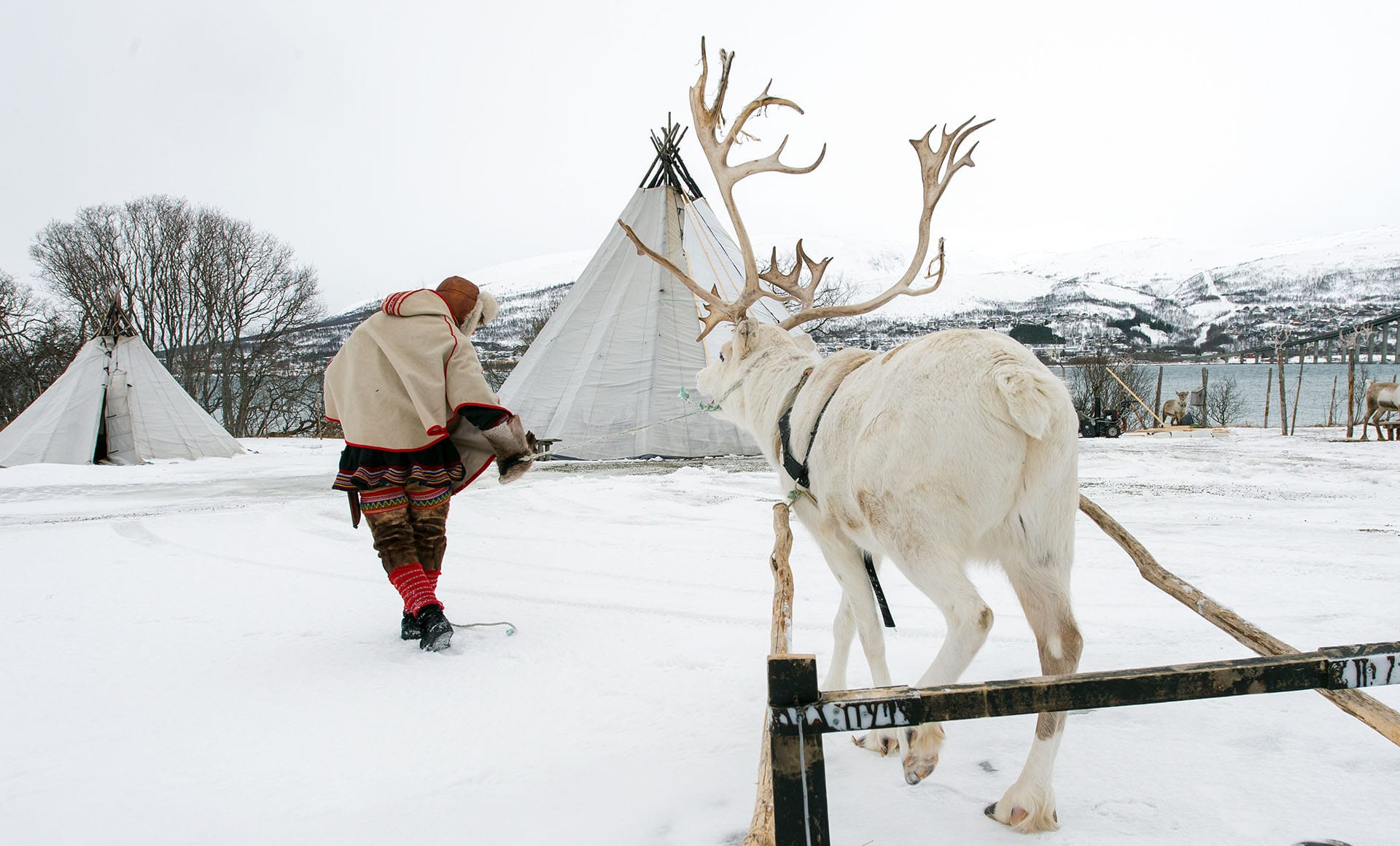 outdoor adventures in northern norway
