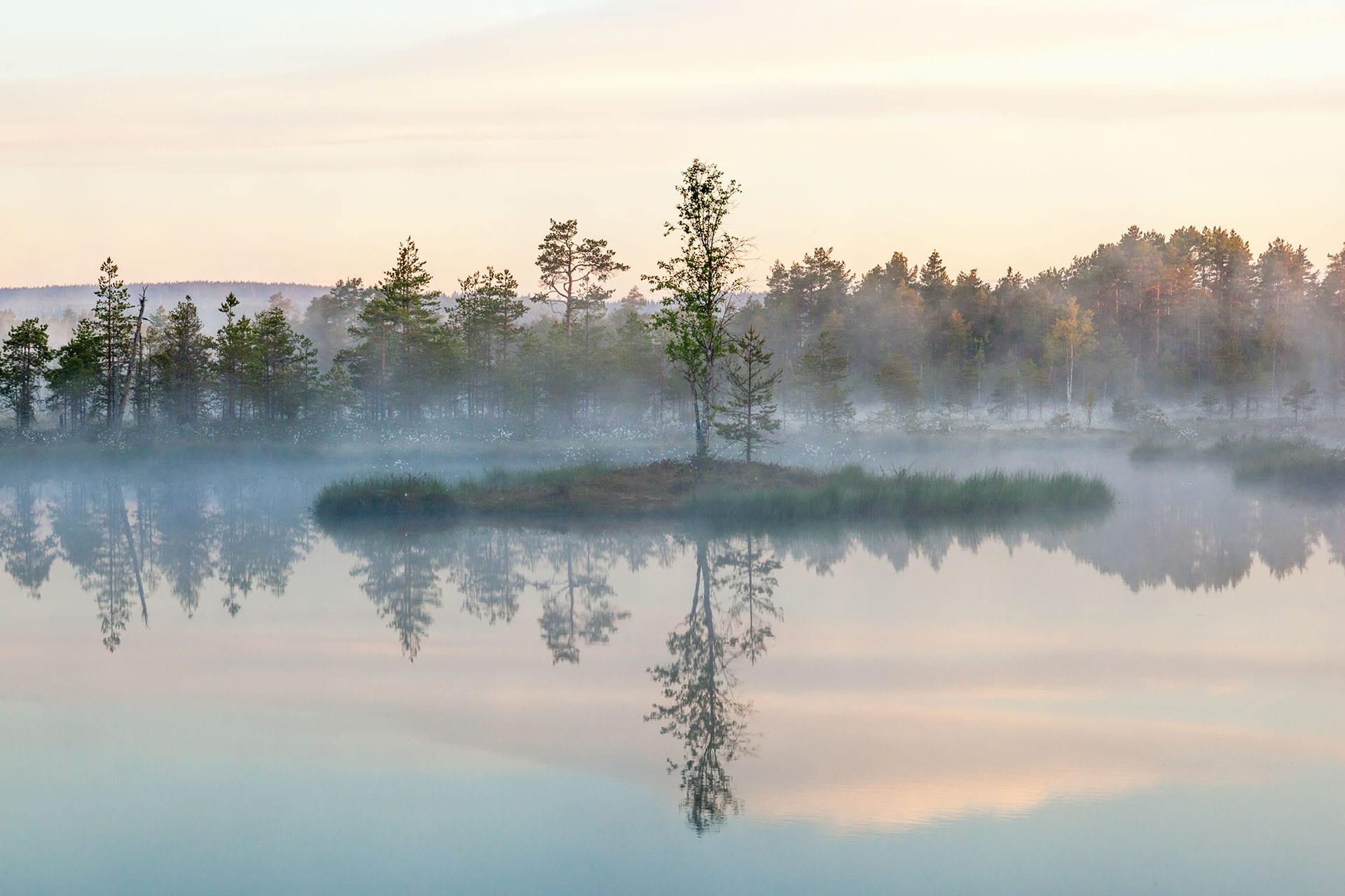 things to do in sweden with kids