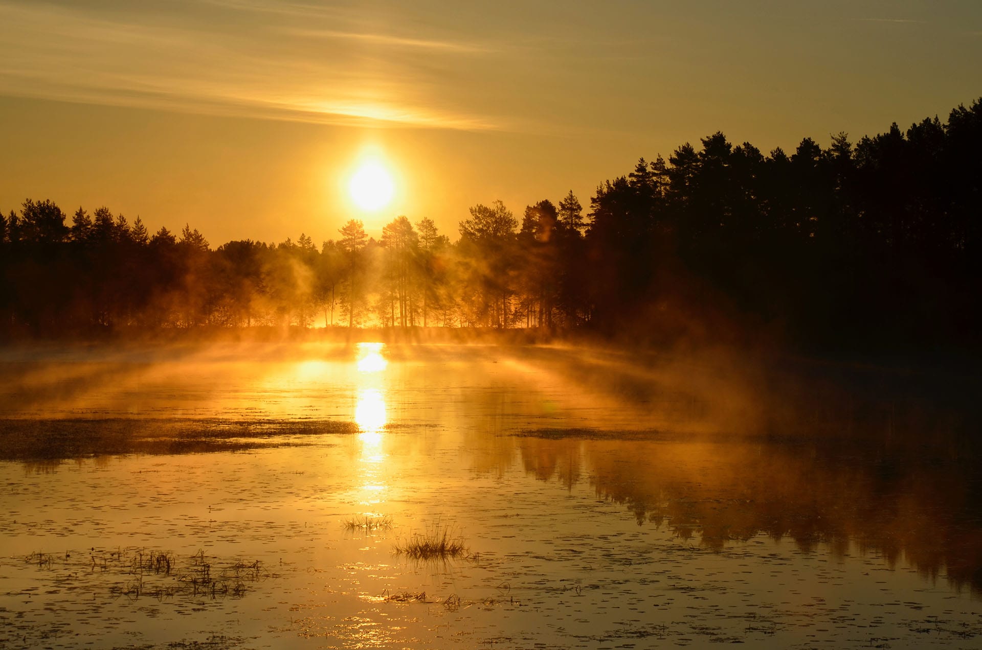 what to do in lapland in summer