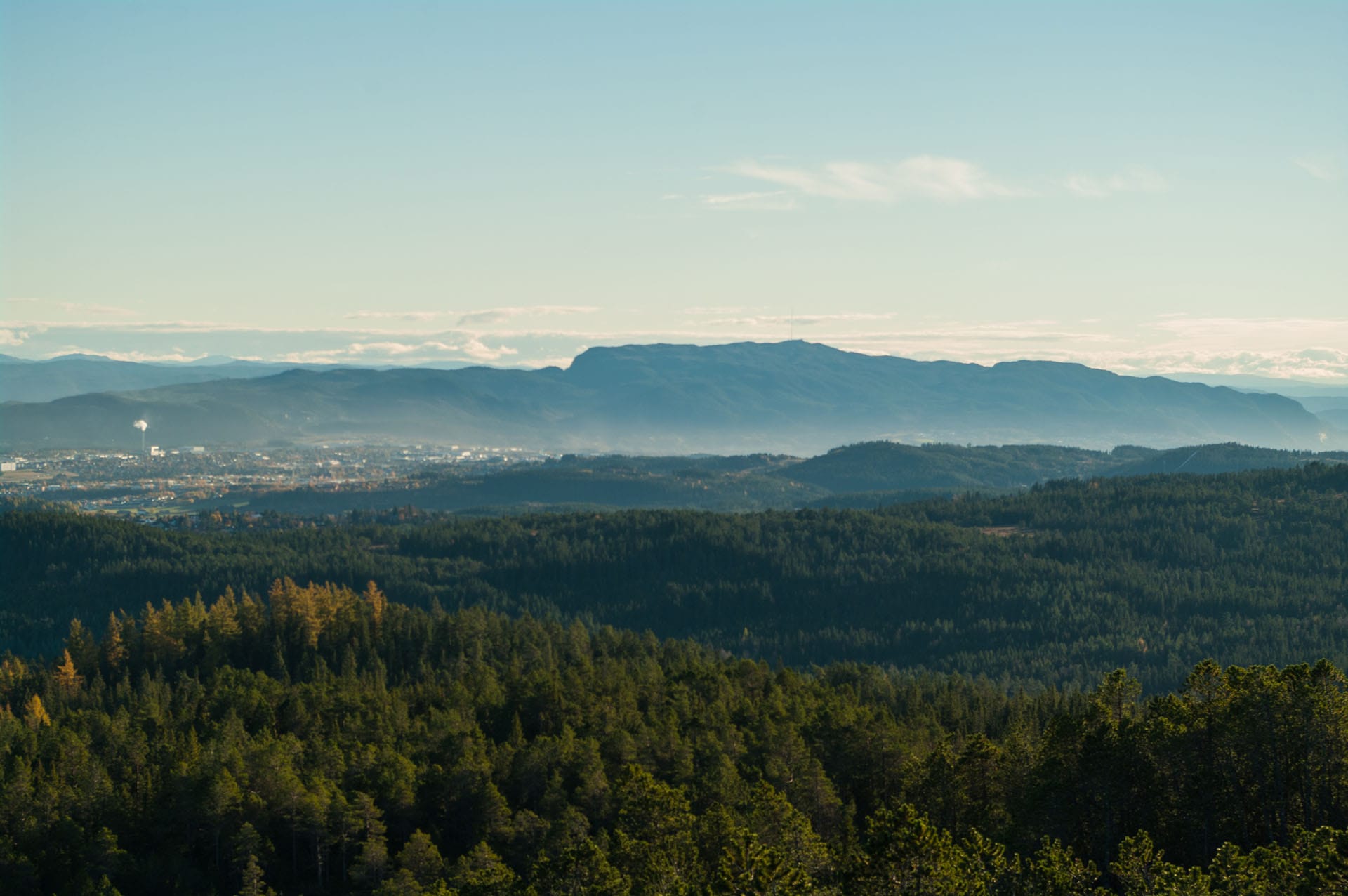 what to do in trondheim in winter