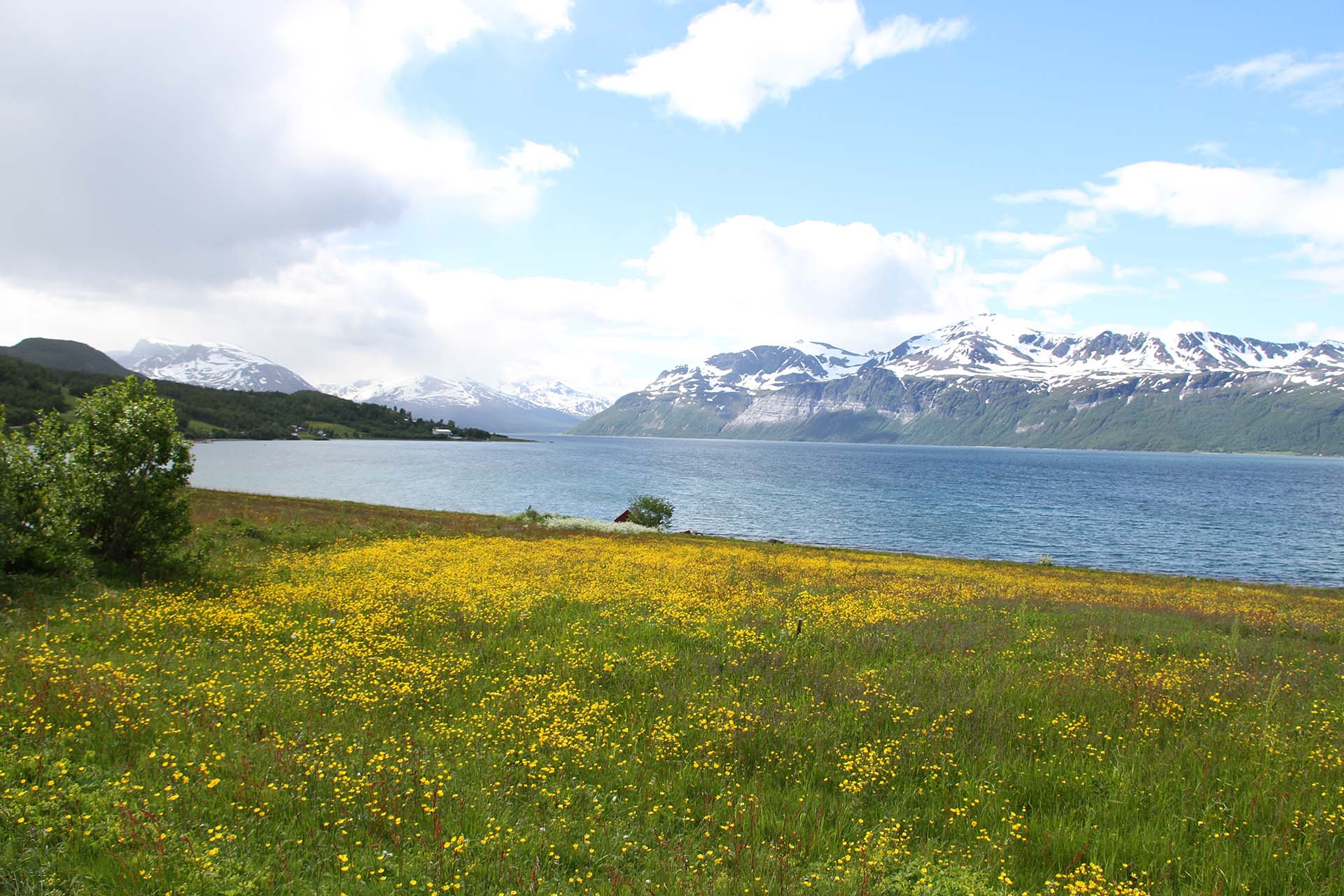 best fjord trips in norway