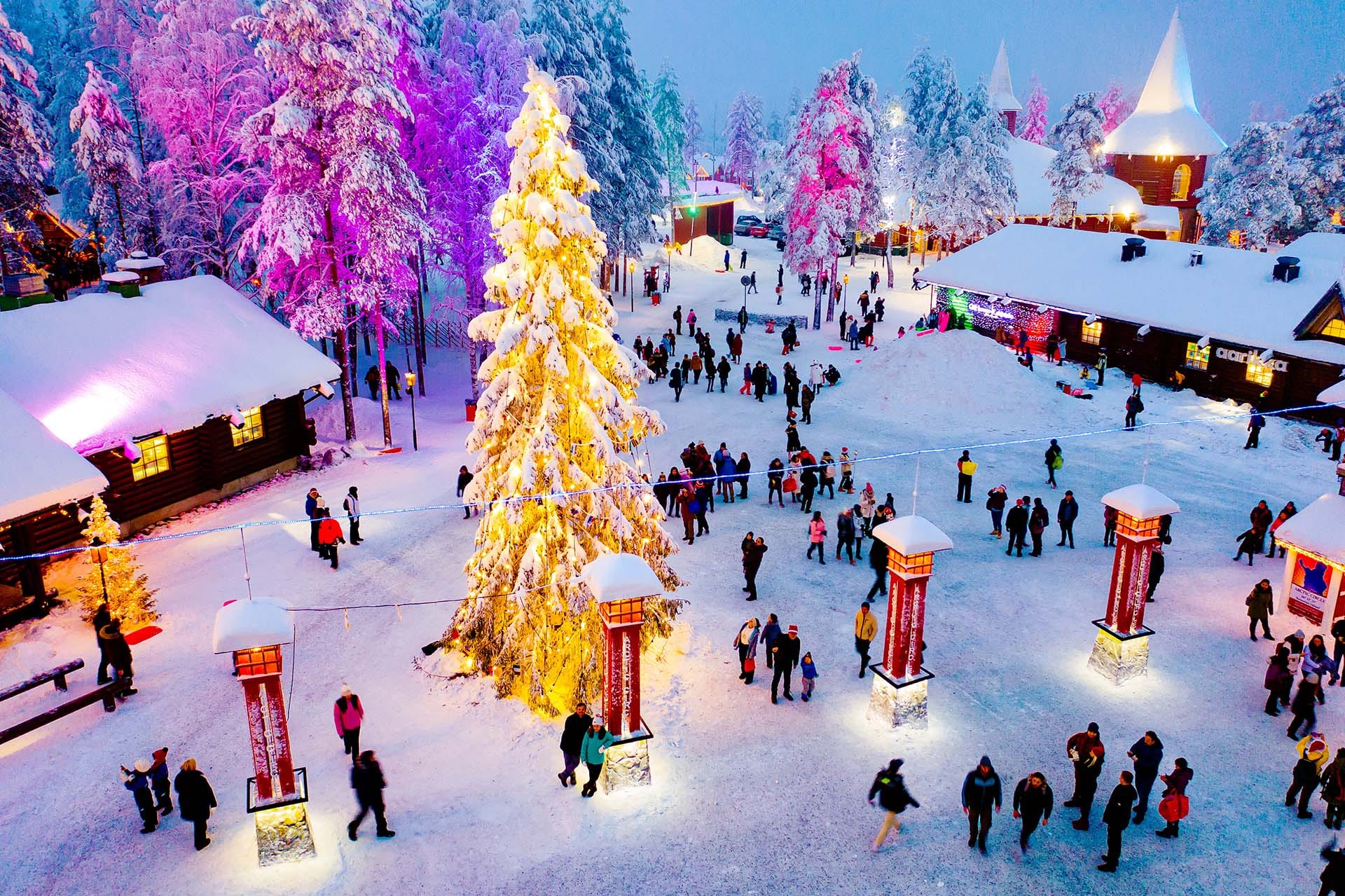 See Northern Lights in Rovaniemi, Finland