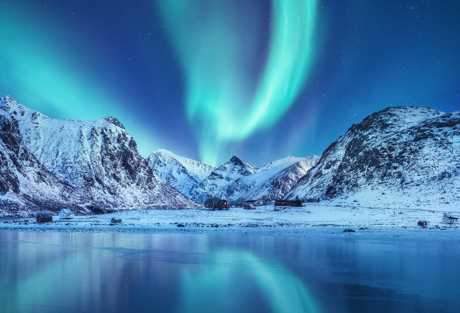 See Northern Lights in Lofoten Islands, Norway