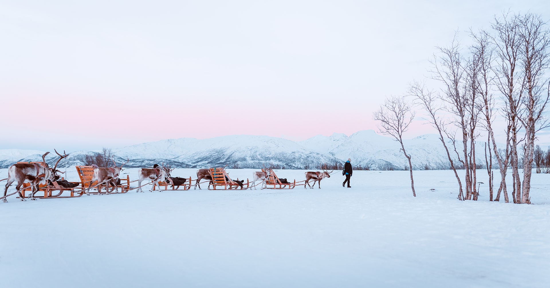 Reindeer sledding in Norway