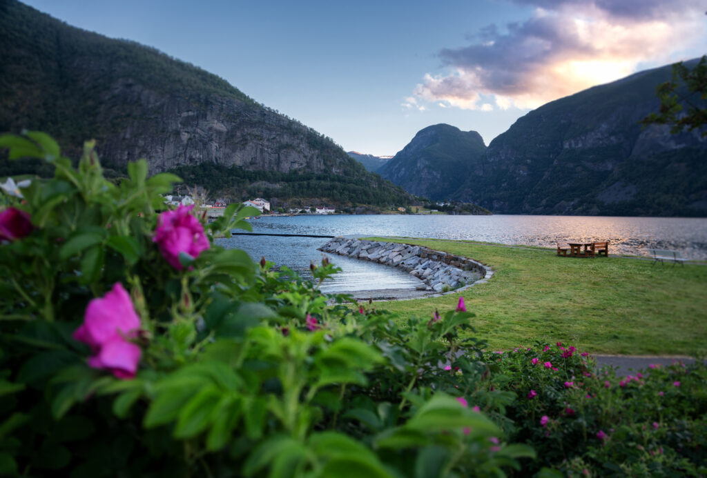 Norway's Vårfølelse: The Grand Spring Fjord Tour