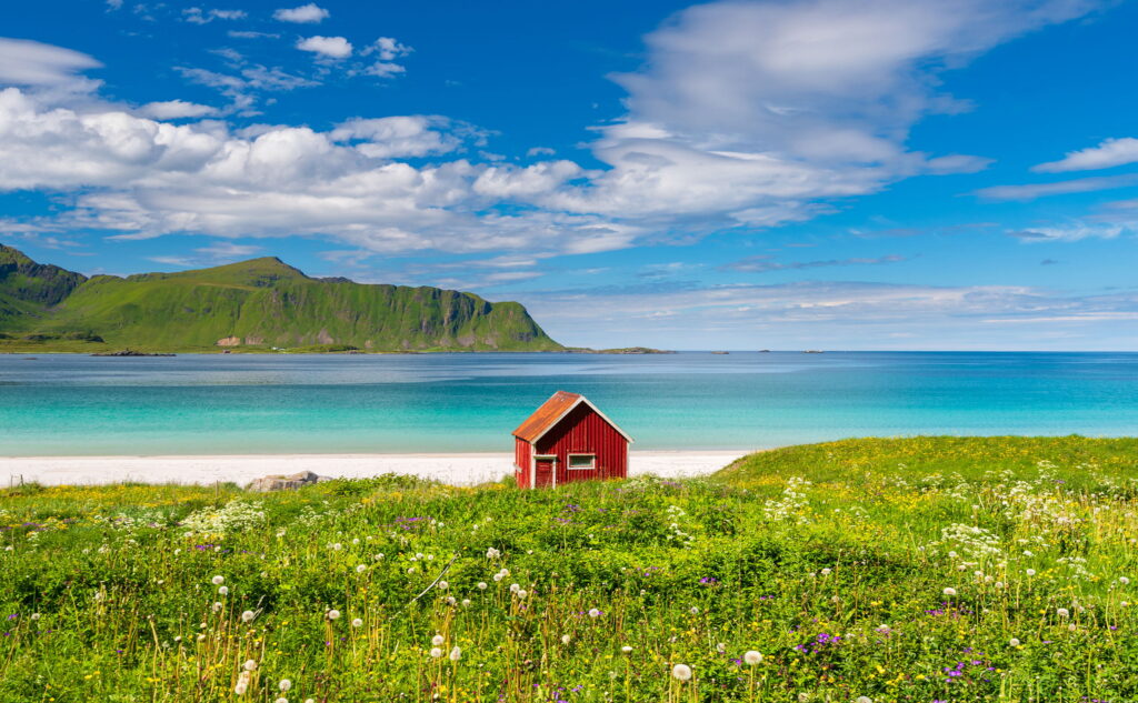 8-Day Luxury Lofoten and Bergen Tour: Rorbu Stays, Fjord Cruises, and Private Food Walks