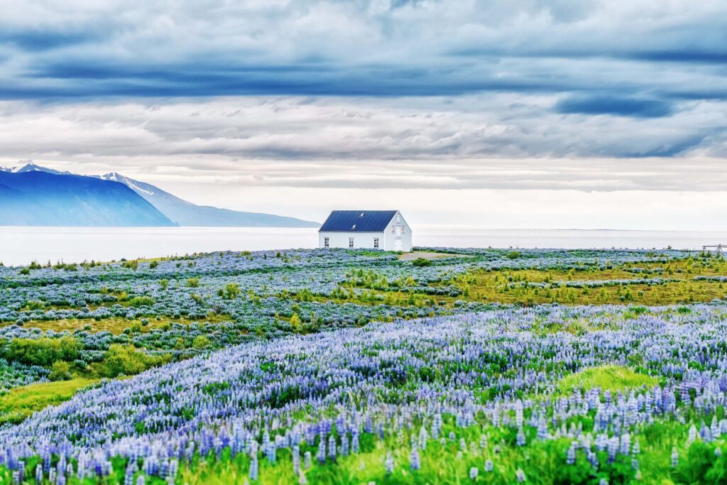 Best things to do in Northern Iceland