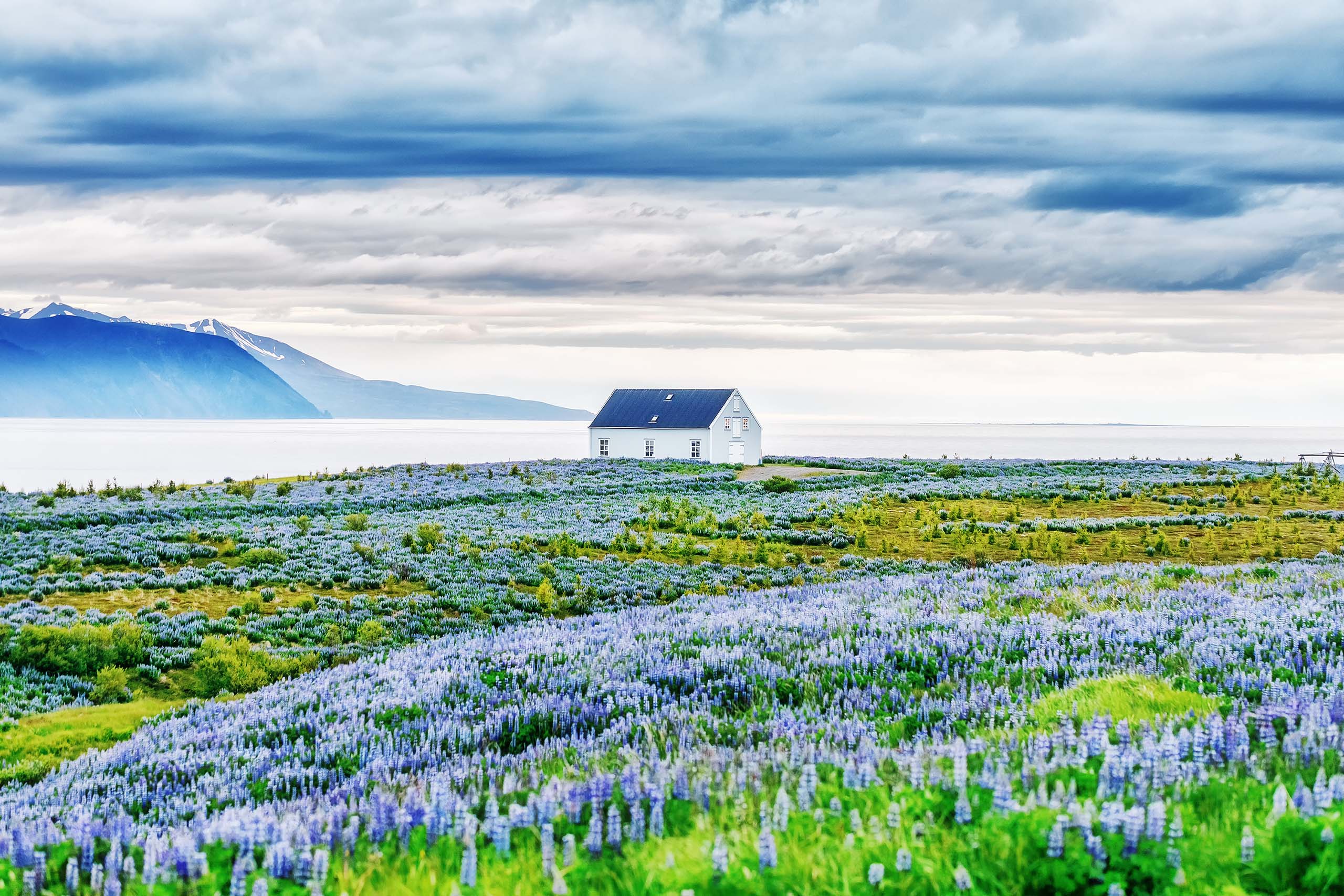 Northern Iceland
