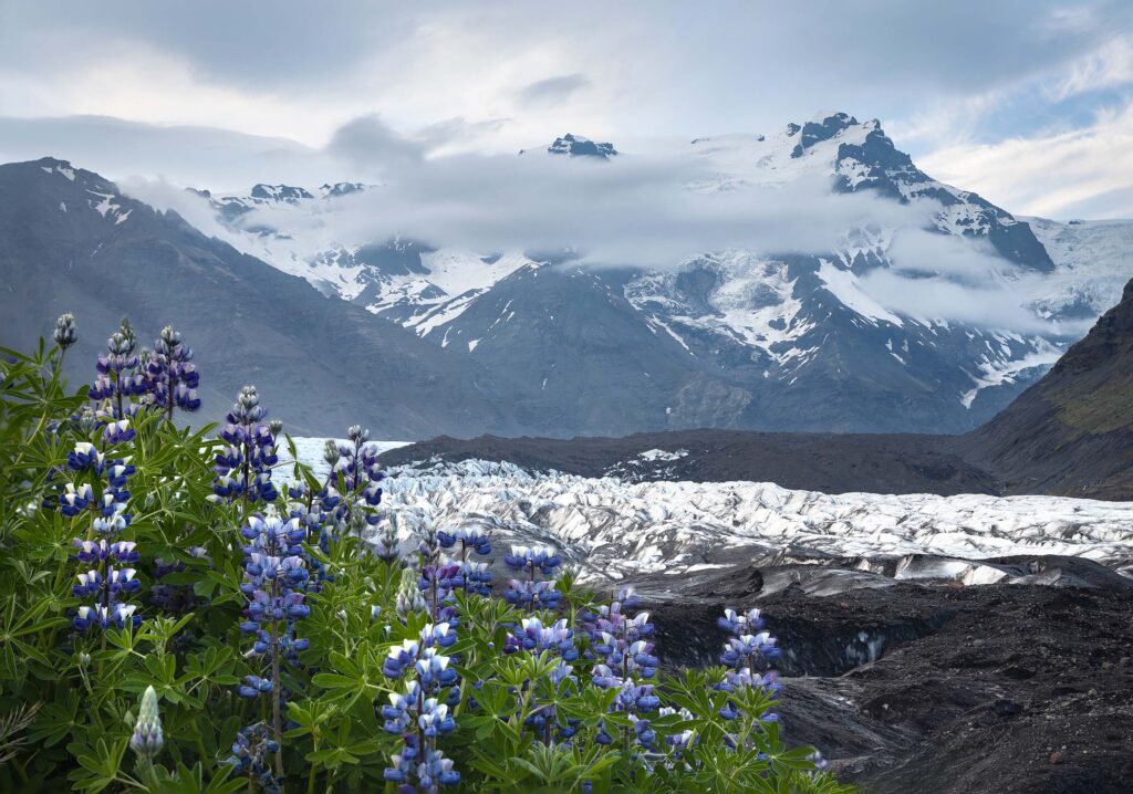 Best things to do in Southern Iceland